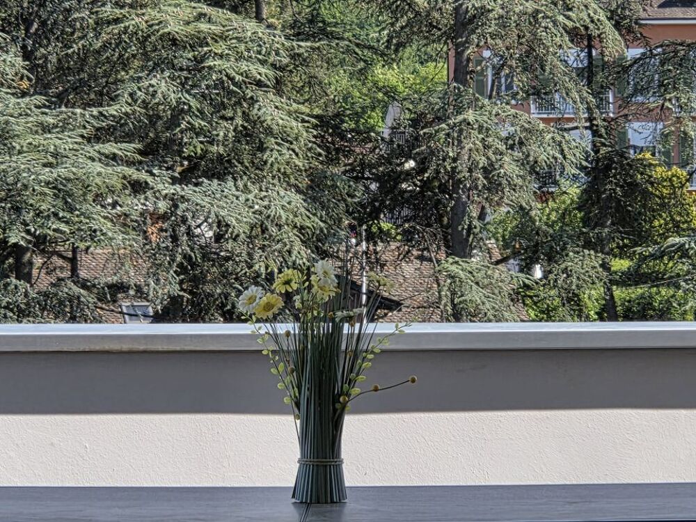 Location Appartement Appartement de 60m2 à louer sur Thonon-les-Bains Thonon les bains