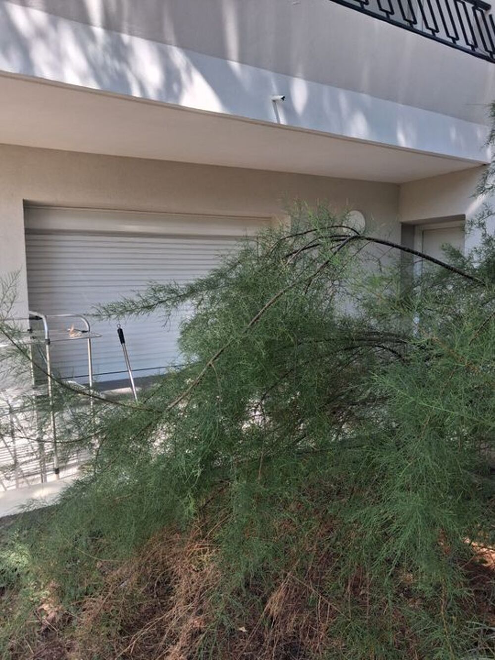 Location Appartement Studio de 22m2 à louer sur Vénissieux Venissieux