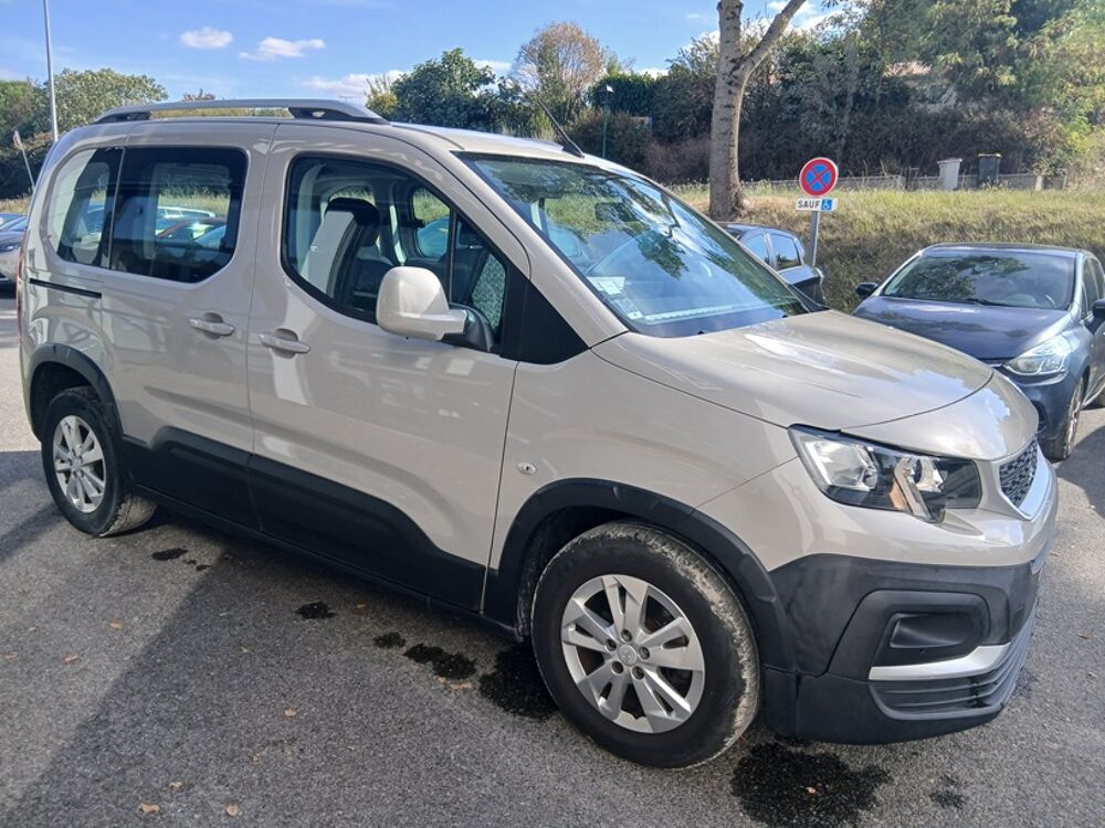 Rifter BLUEHDI 100 CV ALLURE 2019 occasion 31570 Lanta