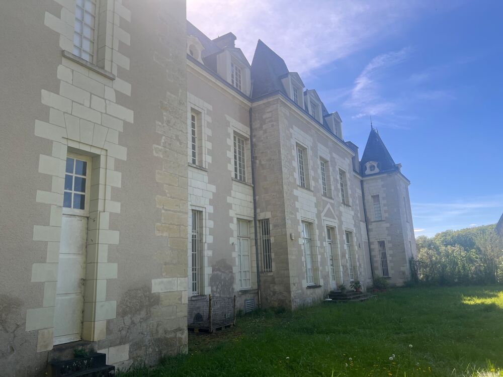 à vendre  Propriété/château Saint-Ouen-les-Vignes (37530)