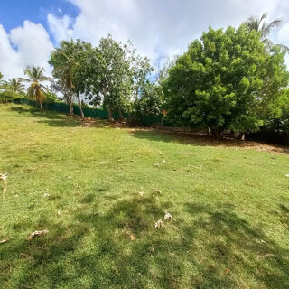  Terrain à vendre 1043 m²