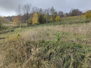  Terrain � vendre 802 m�