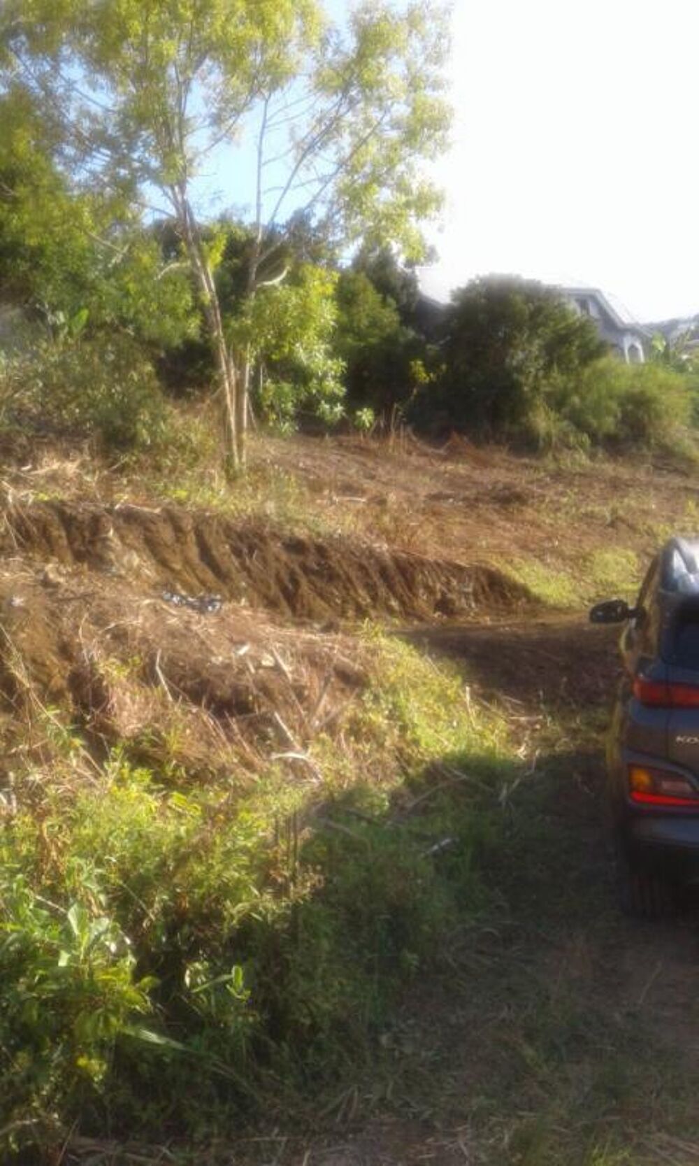 Vente Terrain Terrain Sainte Marie 641 m2 Sainte marie