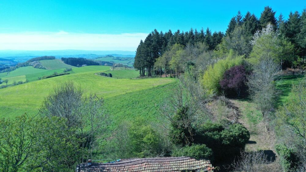 Propriété de caractère sur 2790 m² de terrain