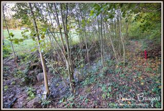  Terrain  vendre 1000 m