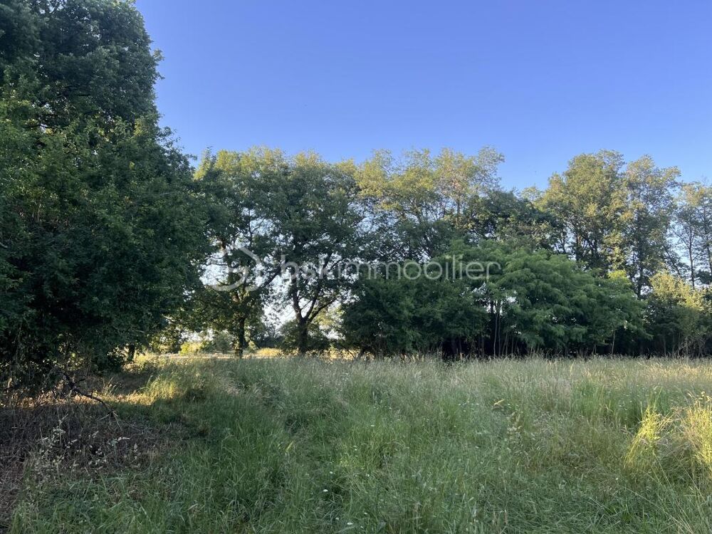 Vente Terrain Terrain de 945m2 sur la commune de Tercé Terce