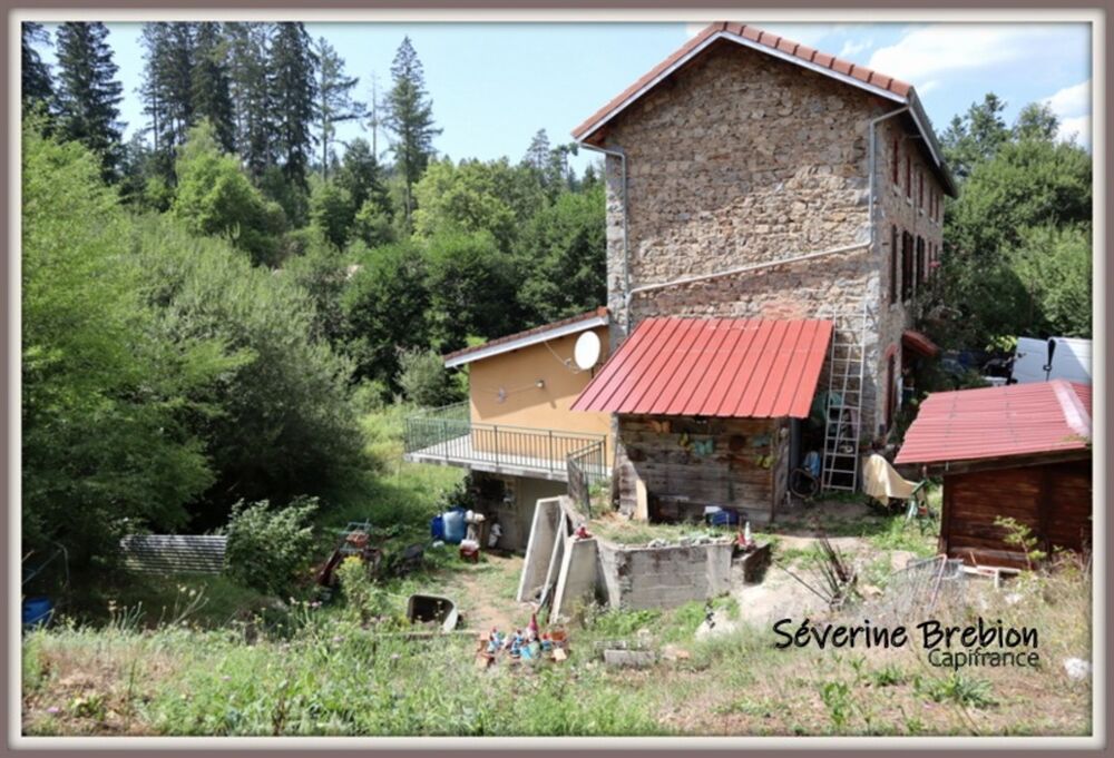 Maison 4 chambres, classée D, terrain à CELLES SUR DUROLLE (63)