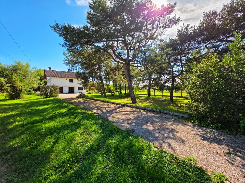 À quelques minutes de Lons-le-Saunier  Maison 3 chambres sur 4 295 m² de terrain