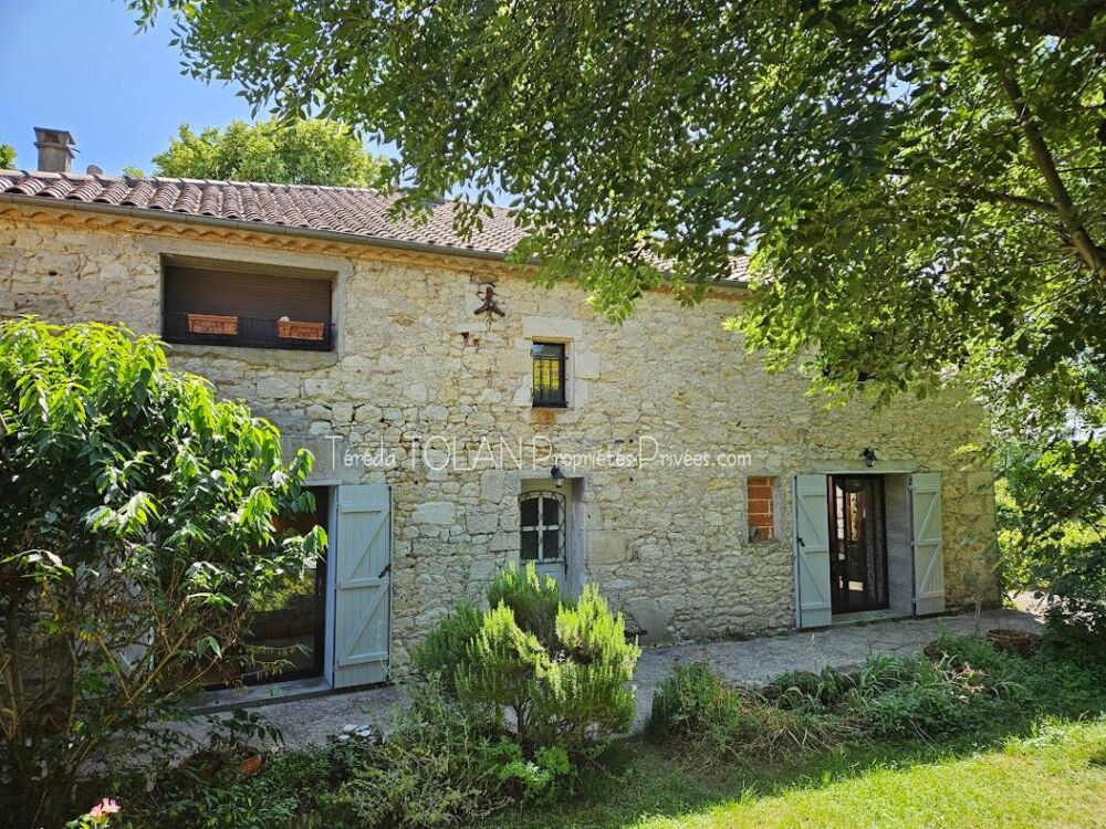 Laroque-Timbaut, maison 18ème, 324 m², 10 pièces, double garage, terrasses, vue