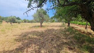  Terrain à vendre 3625 m²
