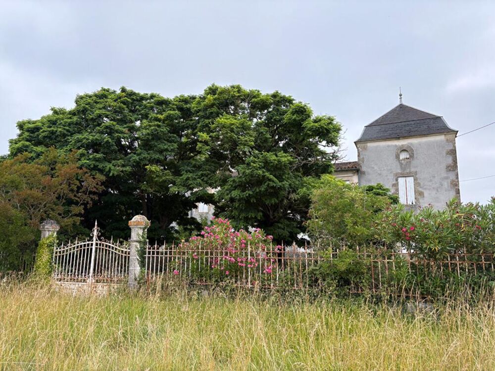 Château confidentiel à Massugas, dominant les côteaux, entre Pellegrue et Sauveterre de Guyenne