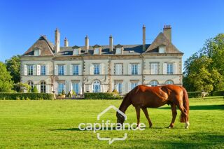  Propriété/château à vendre 15 + pièces 1425 m²