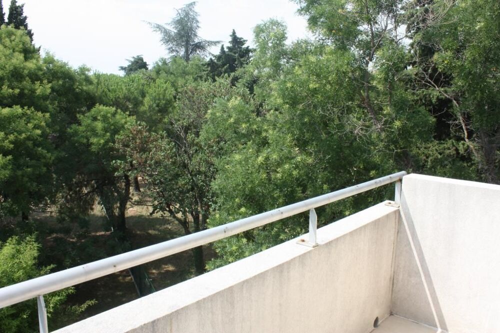 Location Appartement Studio de 21m2 à louer sur Montpellier Montpellier