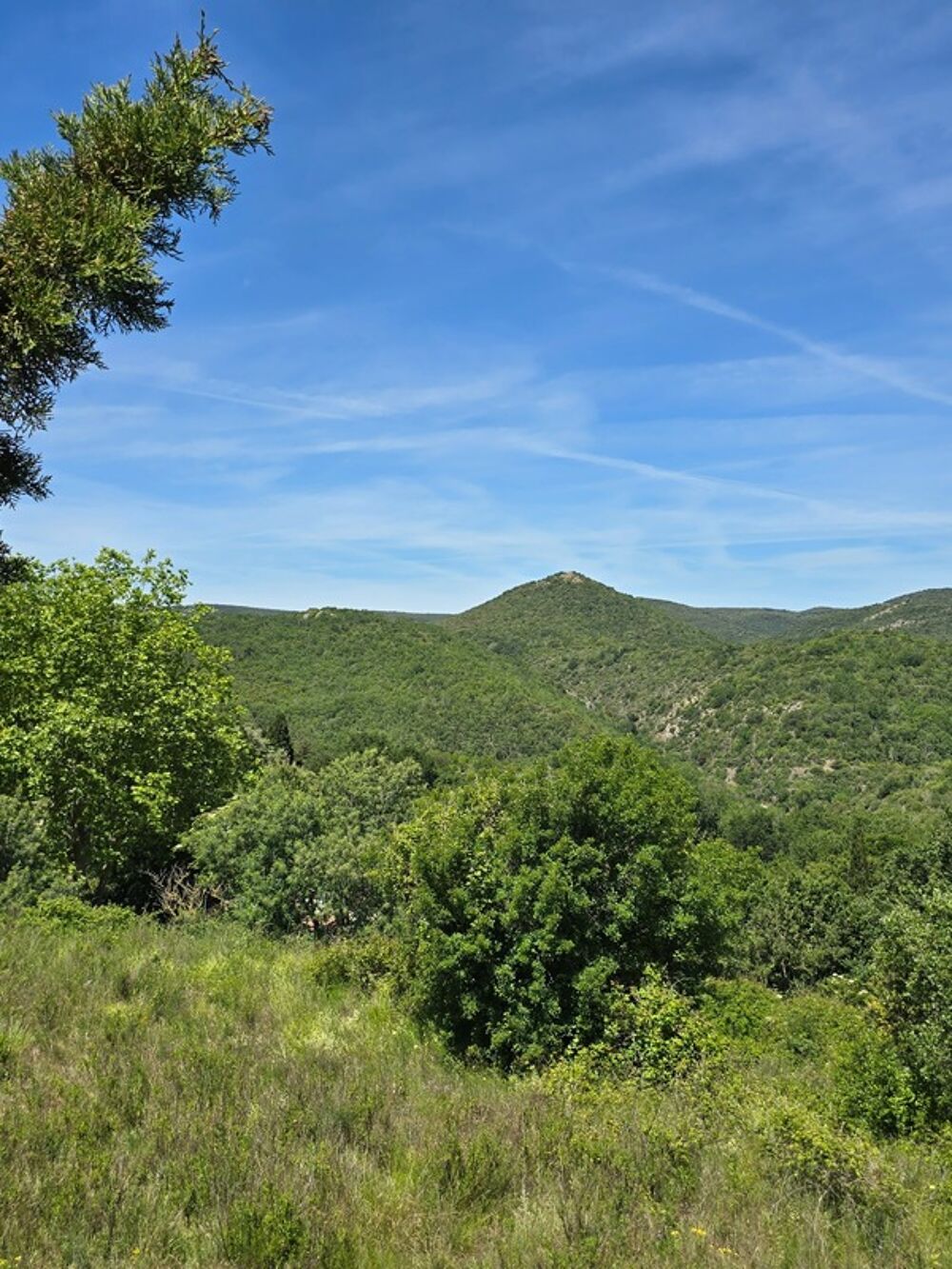Vente Terrain ? Terrain viabilisé 1792 m² - Permis accordé - Vue exceptionnelle Quintillan