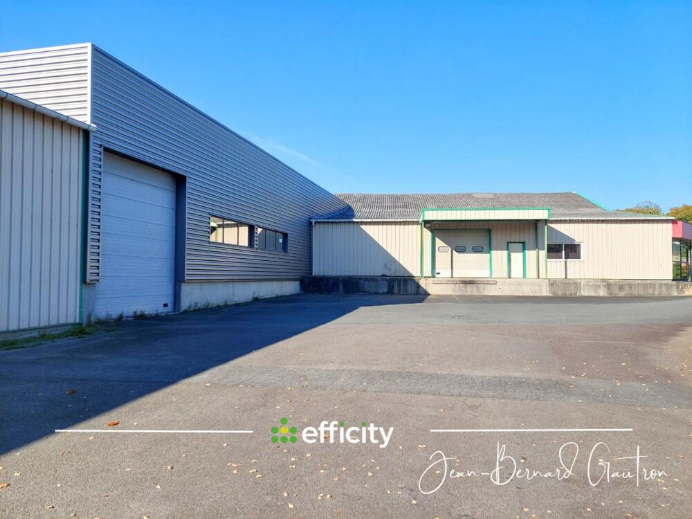   Local d'activité 