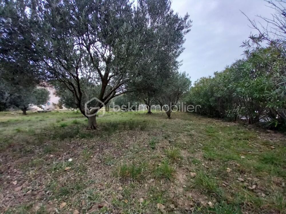 Vente Terrain Terrain constructible et viabilisé Clermont l herault