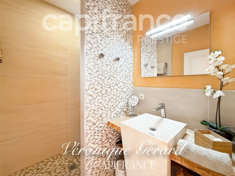  vendre  Proprit/chteau Sallebuf (33370)