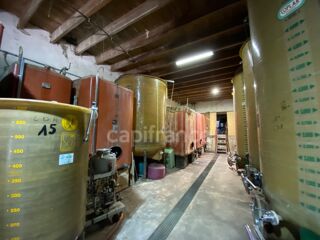  Propri�t�/ch�teau � vendre 5 pi�ces 120 m�