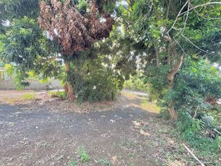  Terrain � vendre 336 m�