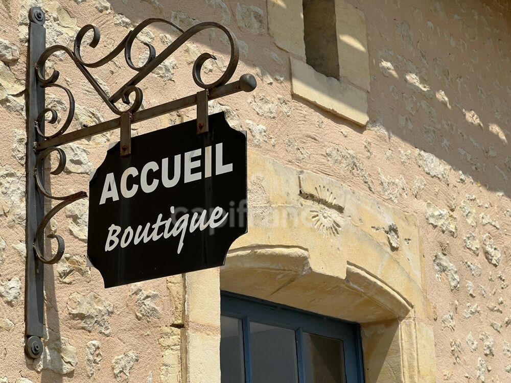 Domaine viticole avec activité touristique de 9,39 hectares - Vanzac (17)