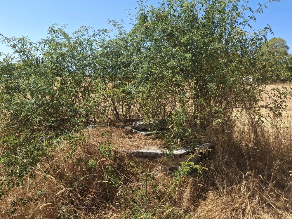 Vente Terrain ?A vendre - Roybon (38940) – 3 parcelles de terrain agricole Roybon