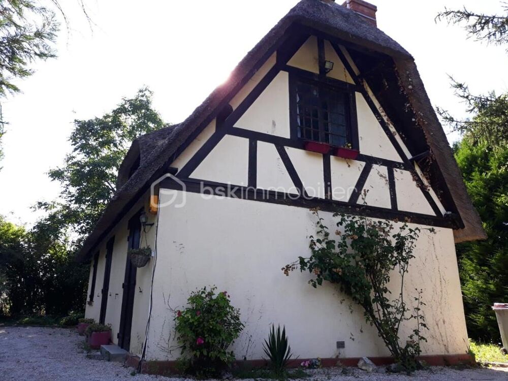 Vente Maison CHATENAY SUR SEINE - CHAUMIERE A RENOVER SUR UN TERRAIN DE 4000 M² Chatenay sur seine