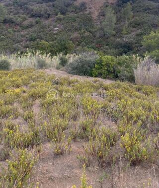  Terrain � vendre 3425 m�