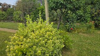  Maison à vendre 7 pièces 120 m²