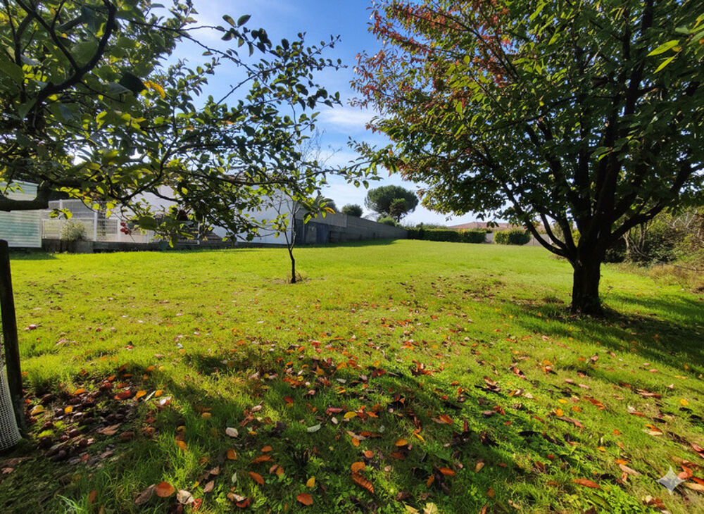 Vente Terrain Terrain coup de cœur à Meschers-sur-Gironde – 1 500 m² viabilisés, secteur calme et recherché Meschers sur gironde