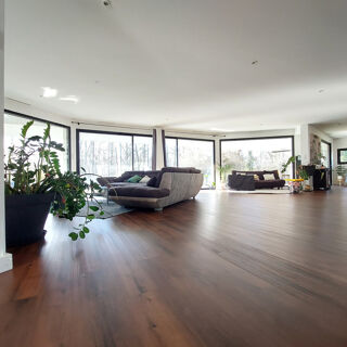  Maison � vendre 7 pi�ces 216 m�