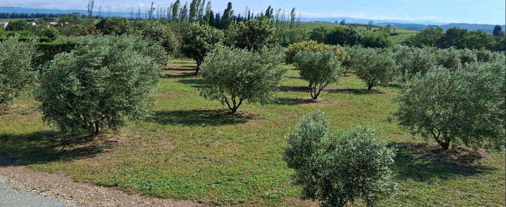 Vente Terrain 11465 m² - Vue 2