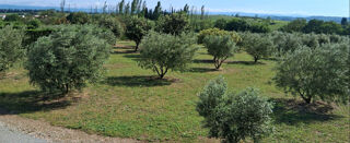Vente Terrain 11465 m²