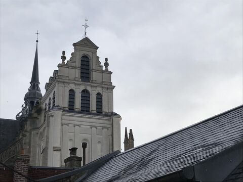  Appartement � louer 1 pi�ce 23 m�