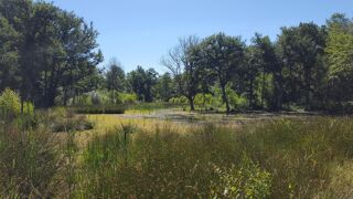  Terrain à vendre 1030000 m²