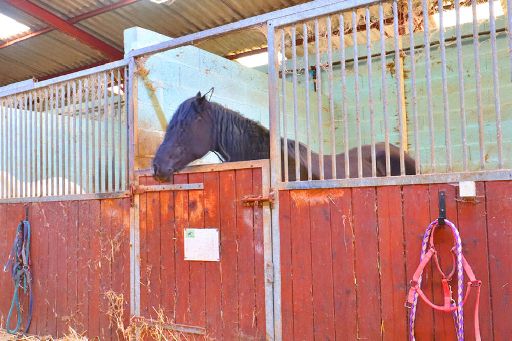 Vente Propri�t�/Ch�teau HARS dans Yonne 1 H 30 de Paris Saint denis sur ouanne