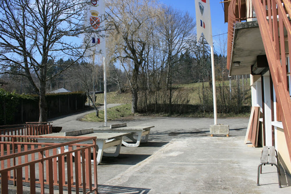 à vendre  Propriété/château Cruseilles (74350)