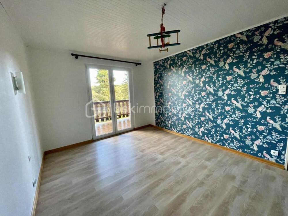 Vente Maison Grande Maison Familiale de 285m2 Wangenbourg engenthal