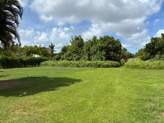  Terrain à vendre 4777 m²
