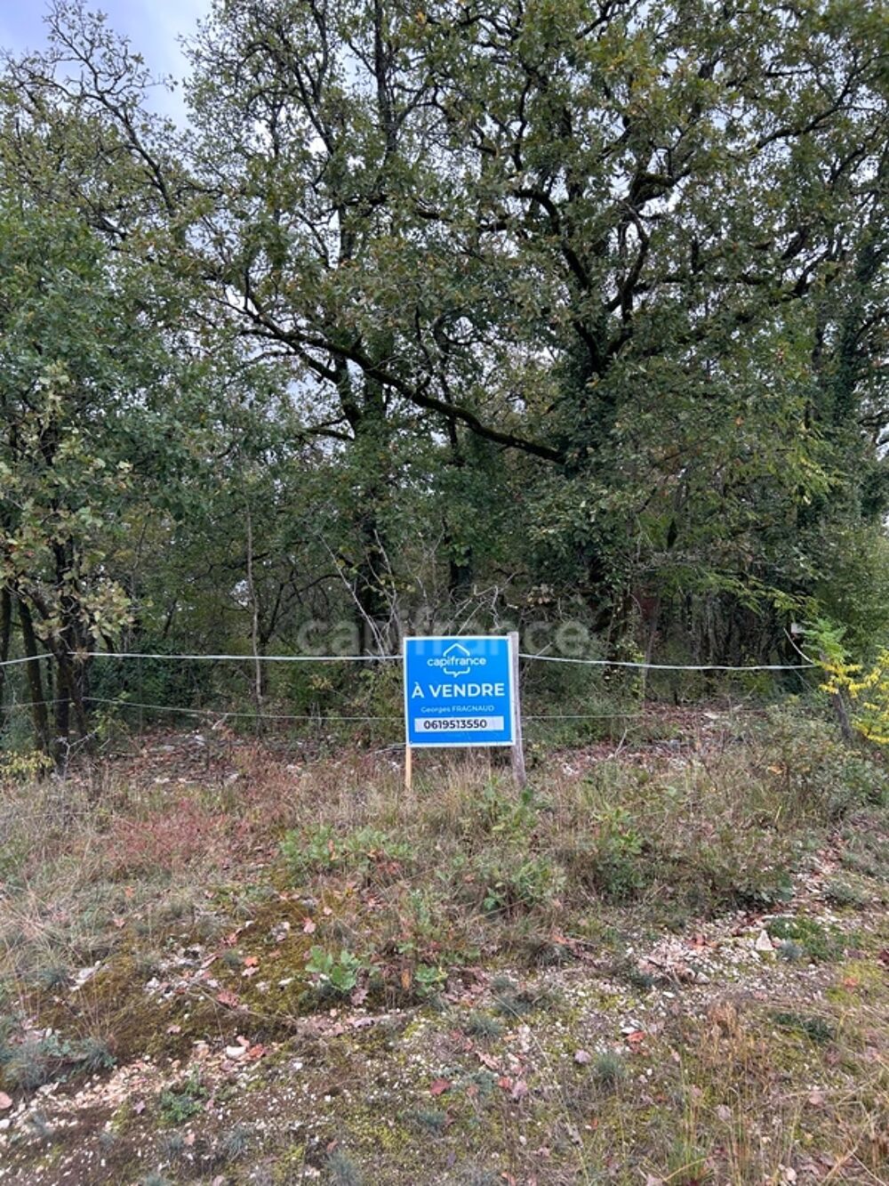 Vente Terrain Terrain à vendre  16300m² SAINT PANTALY D'EXCIDEUIL (24) Saint pantaly d excideuil