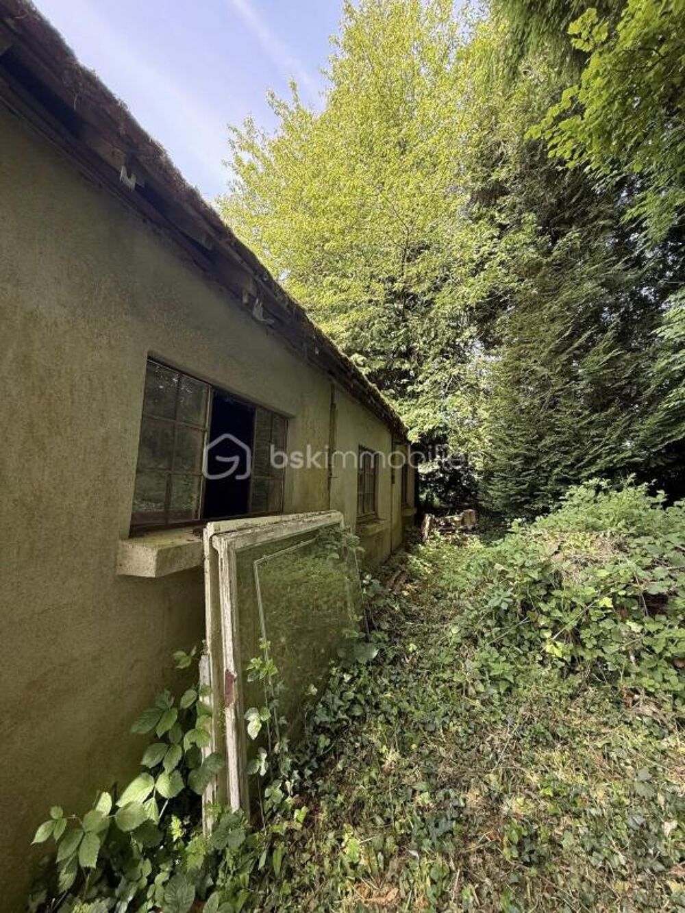 Opportunité rare à 10 minutes de La Ferté-Macé  Bâtiment à aménager + terrain arboré ??