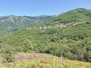  Maison � vendre 10 pi�ces 330 m�