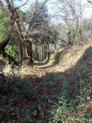  Terrain � vendre 6393 m�