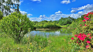  Terrain � vendre 24559 m�
