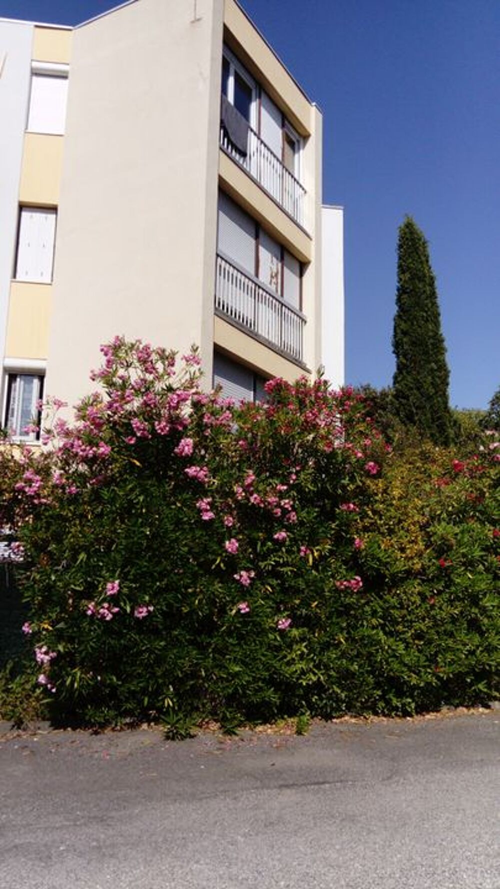 Location Appartement Studio de 13m2 à louer sur Montpellier Montpellier