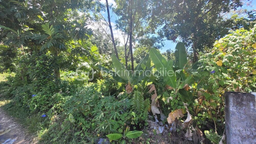 Vente Terrain Vente Terrain Constructible de 778 m² Le Baril - Saint-Philippe Saint philippe