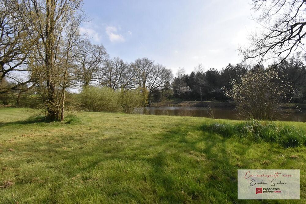 Vente Terrain Terrain de loisirs La Plaine La plaine