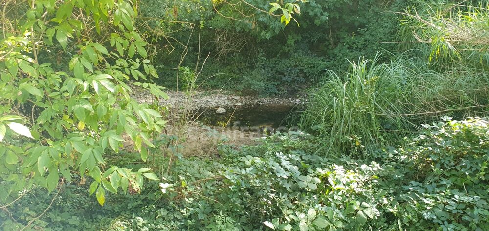 Vente Maison Maison à vendre 9 pièces LE BOSC (34) Le bosc