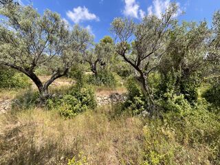  Terrain � vendre 3015 m�