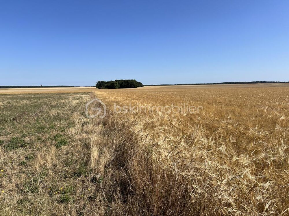 Vente Terrain BEAU TERRAIN CONSTRUCTIBLE Boissy en drouais