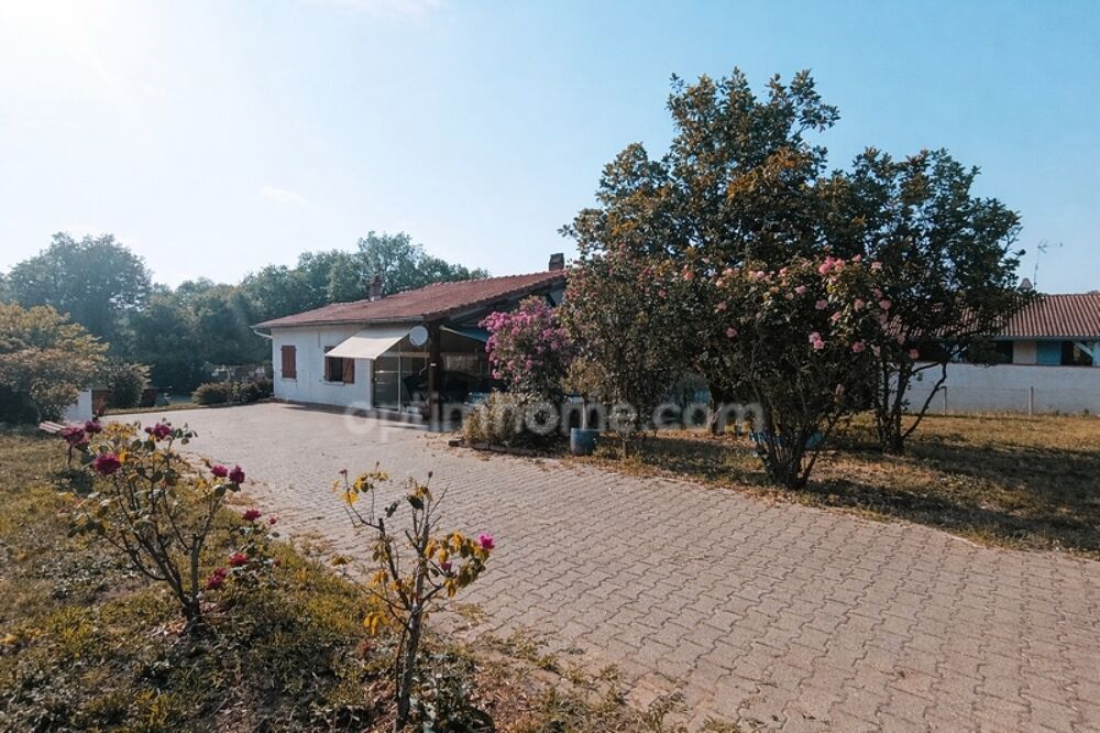 Maison 6 pièces, terrain 8000 m²